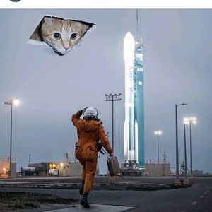 Meet your Posher, Cole